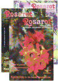Zeitschriftencover Rosarot
