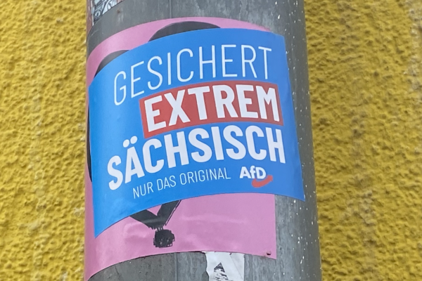 Foto von Aufkleber „Gesichert extrem sächsich - AfD“